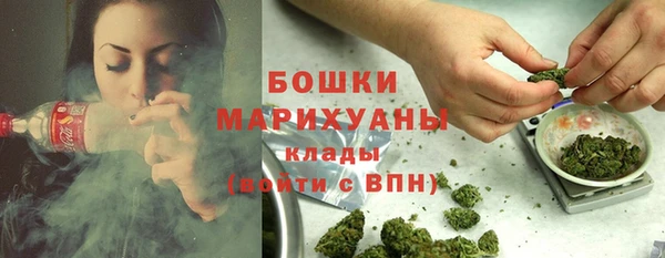СК Зерноград
