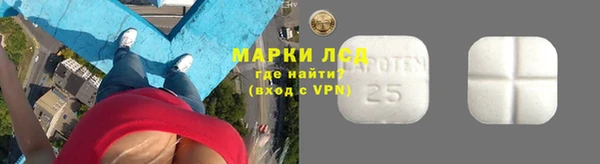 гидра Алексин