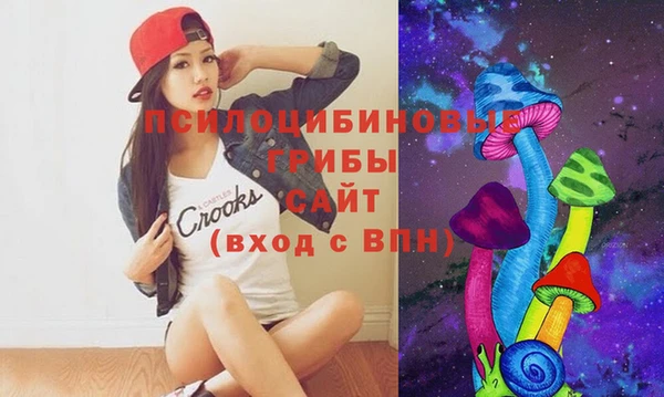 гашик Касимов