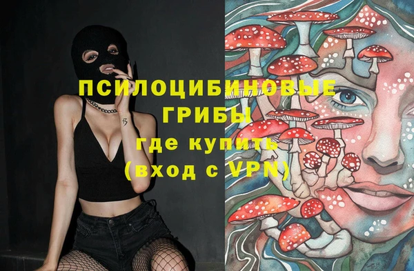 трава Абдулино